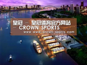 案例展示八