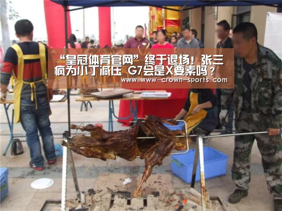 “皇冠体育官网”终于退场!张三疯为小丁减压 G7会是X要素吗?(图2) 皇冠体育直播